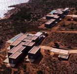 Κατερίνα Τσιγαρίδα