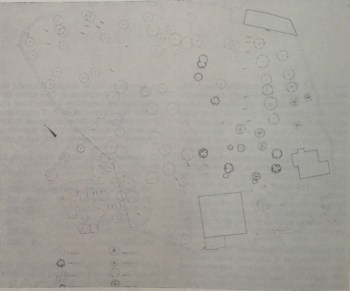 Τοπογραφικό