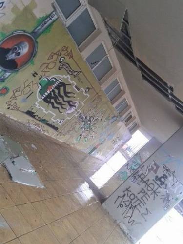 11081775_749524225165190_46112924_n