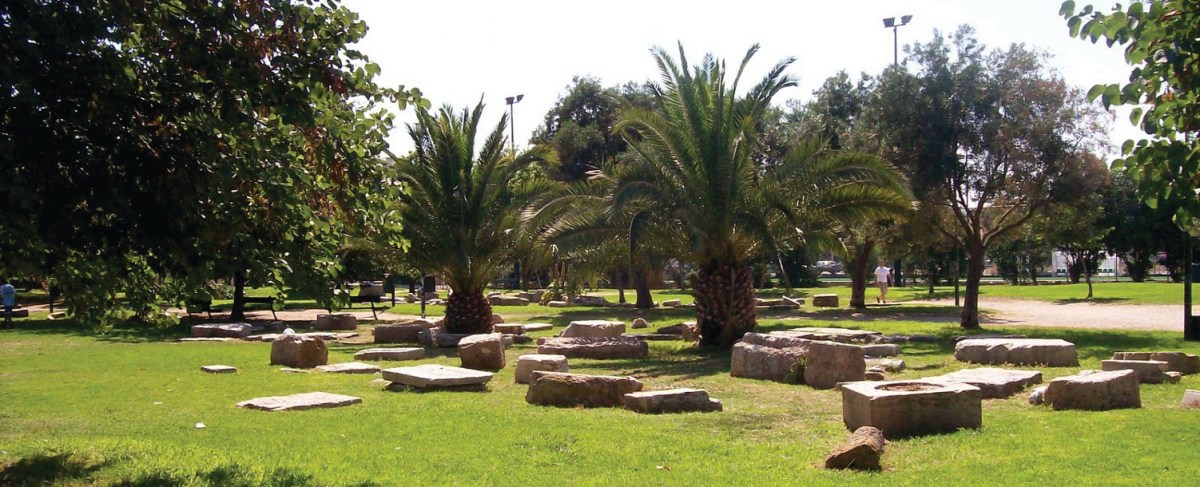 Απόφαση-ανακοίνωση του Συλλόγου Αρχιτεκτόνων – Τμήμα Αττικής ενάντια στη χωροθέτηση του «Αρχαιολογικού Μουσείου Αθηνών» μέσα στο Αρχαιολογικό Άλσος της Ακαδημίας&nbsp;Πλάτωνος